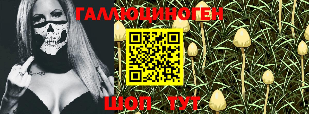 Орёл  Псилоцибиновые грибы Psilocybe  Вход с VPN 